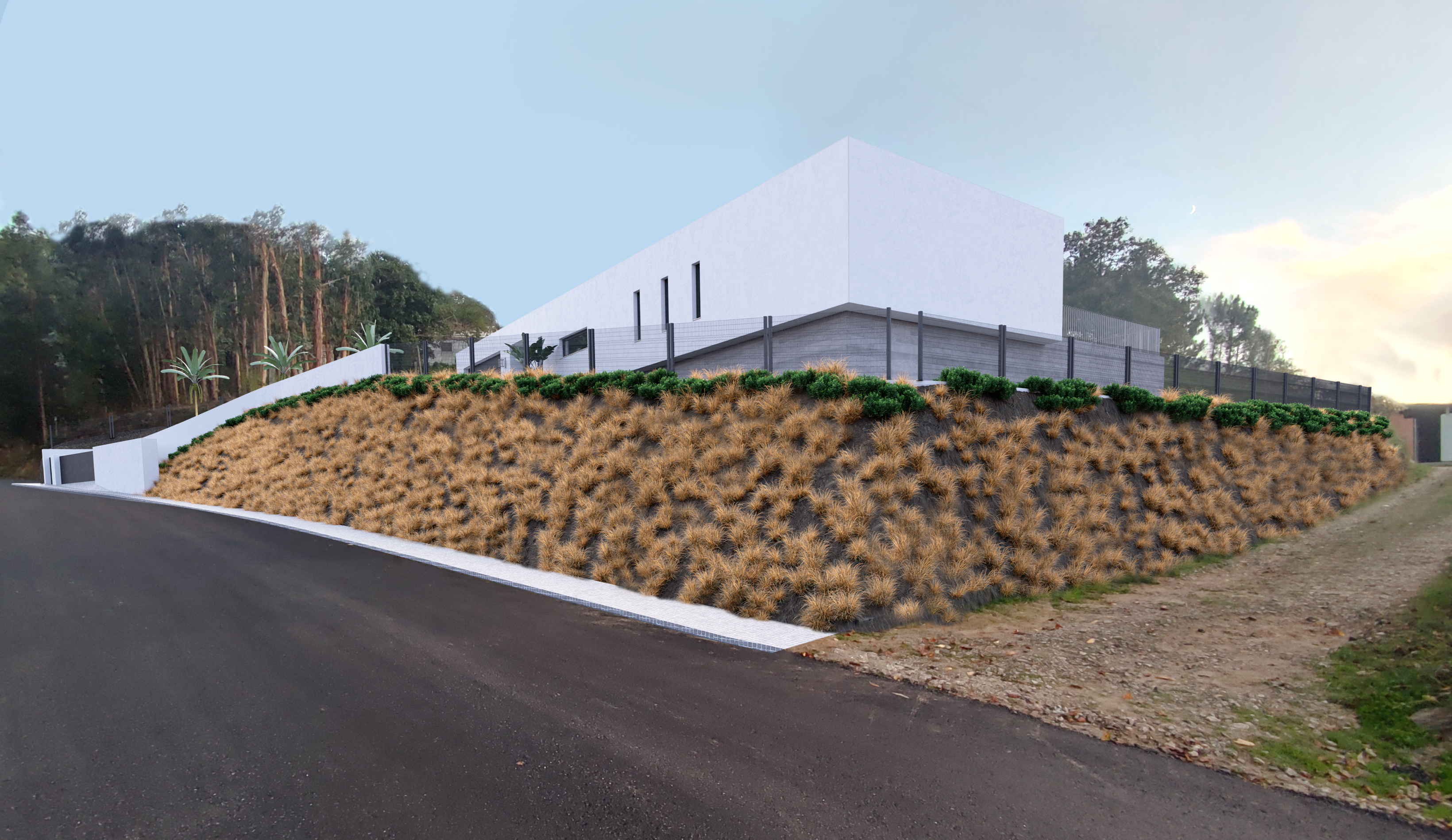 3D Image