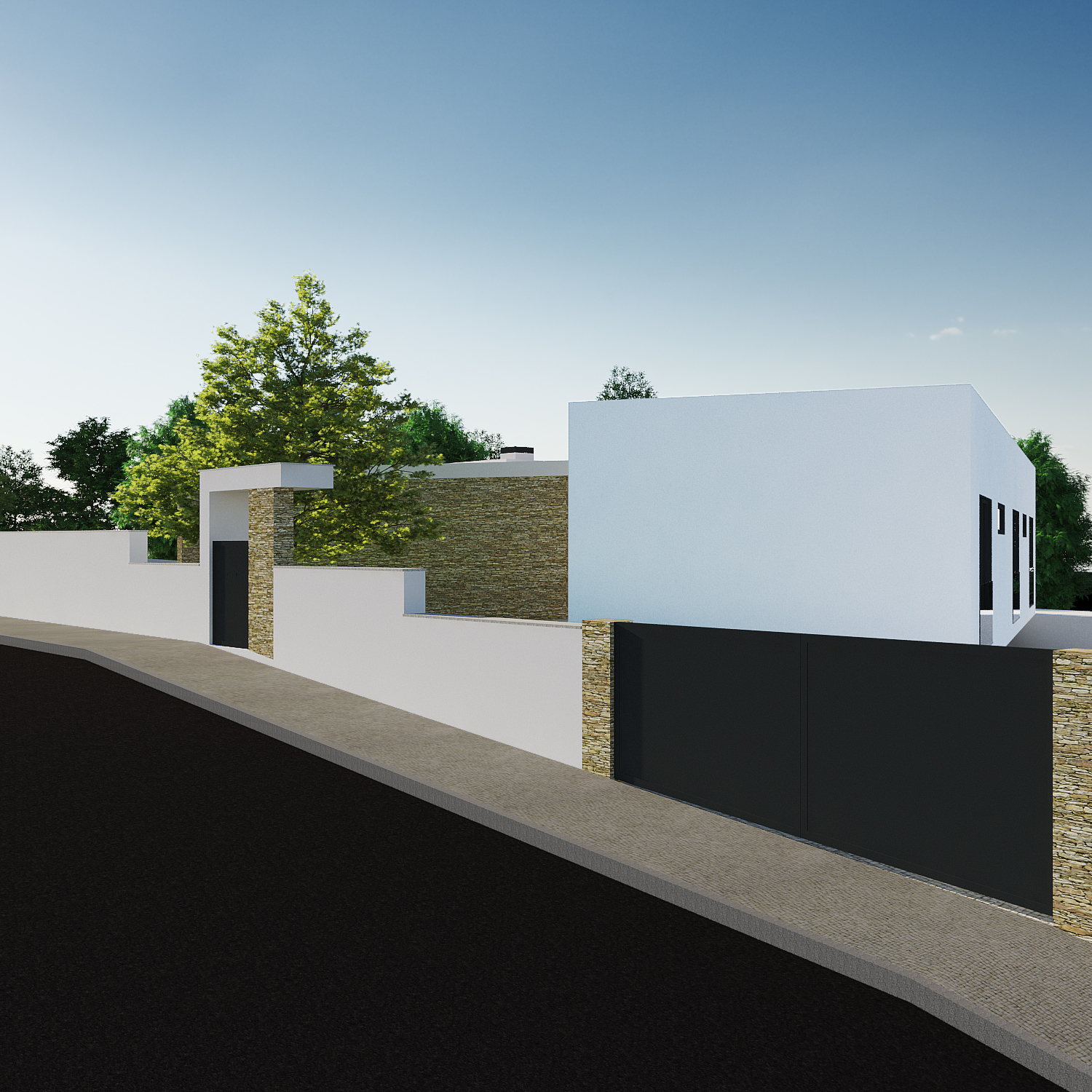 3D Image