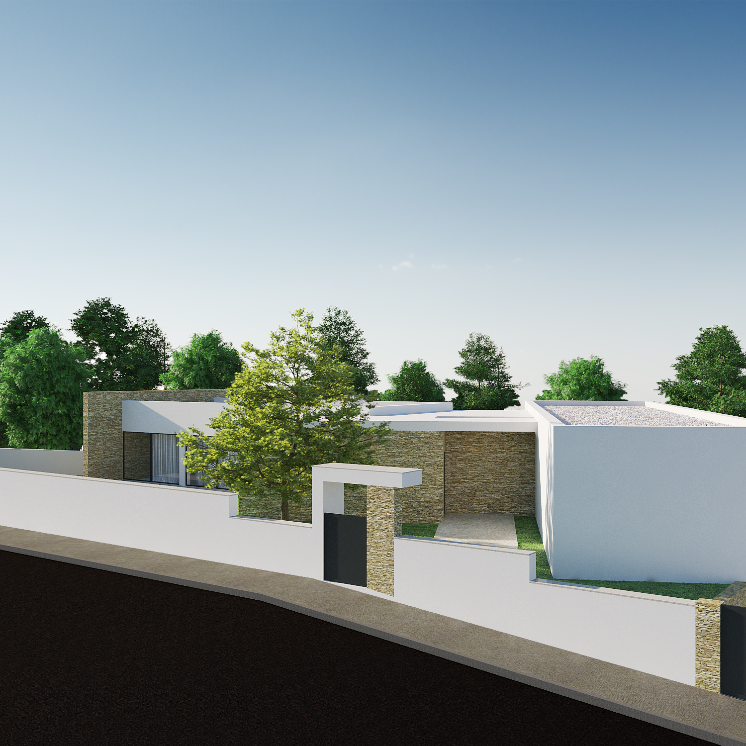3D Image