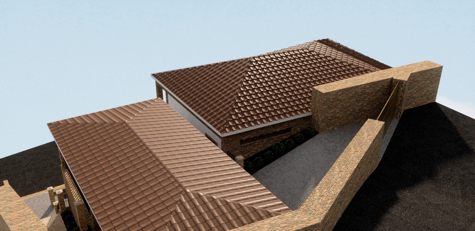3D Image